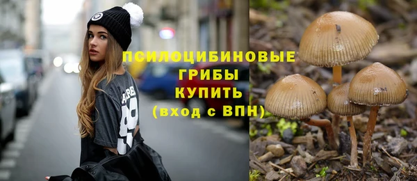 прущая мука Алексин