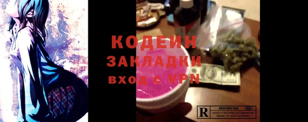 индика Мегион