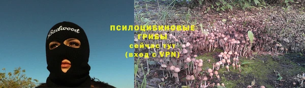 гидра Алексеевка