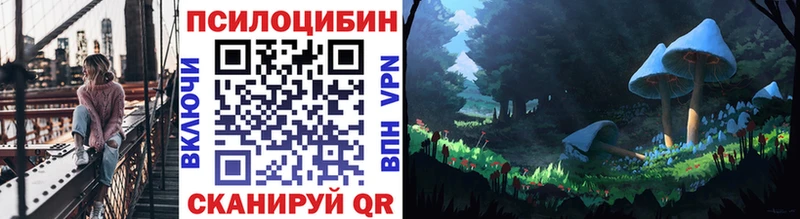 Купить Белово Галлюциногенные грибы прущие грибы
